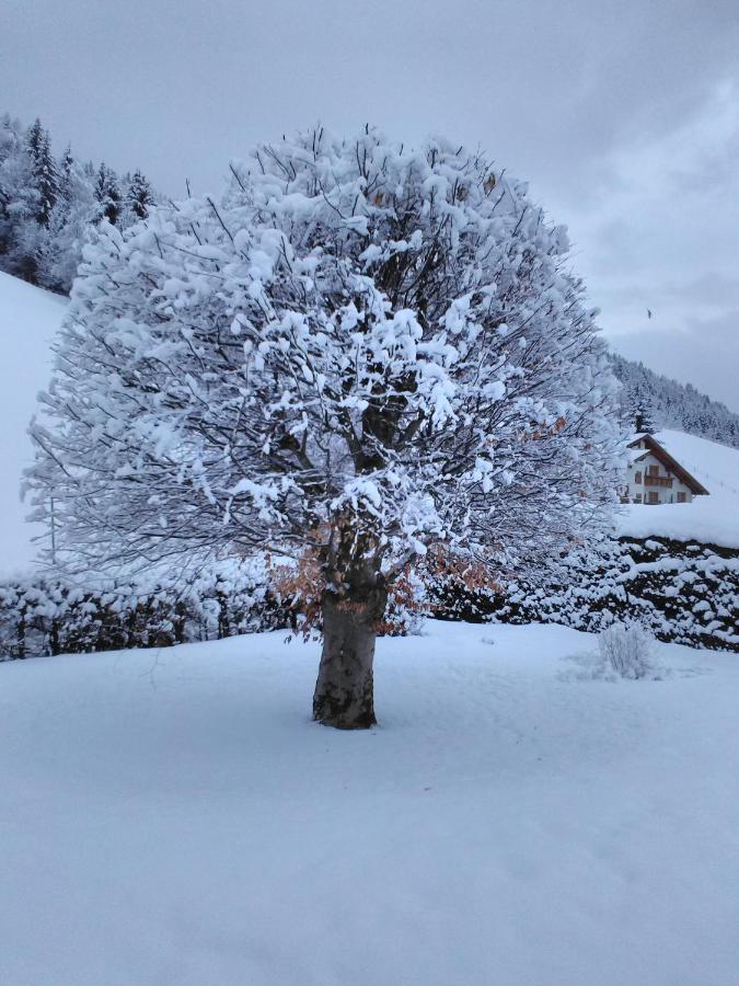 Apartamento Haus Kieler Schladming Exterior foto